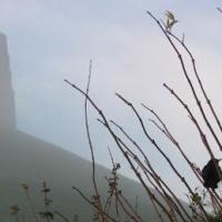 THE ENERGY OF 21.12.12 AT GLASTONBURY TOR, SOMERSET (Part 1)